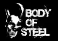 Steel Body